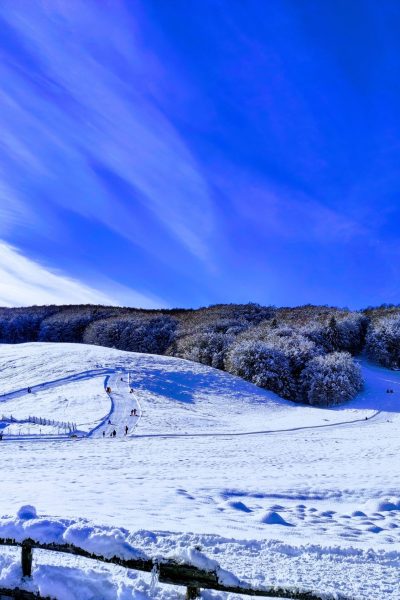 IMG_20211212_104133-EFFECTS