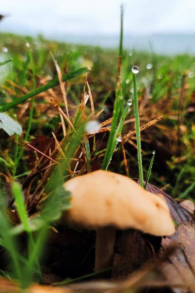 IMG_20231015_101657~2