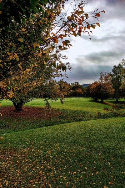 original_894a4de8-746a-4f52-80b7-43db49807dcc_IMG_20221023_101122