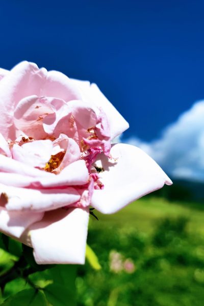 original_8d5520e0-dbdf-44fa-993d-f7a293bffd7a_IMG_20220626_093444