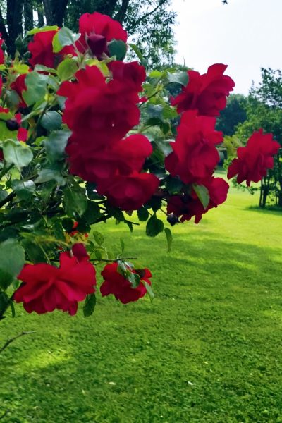 original_a17977ff-4cbe-432e-b039-8a909927918e_IMG_20220605_101559